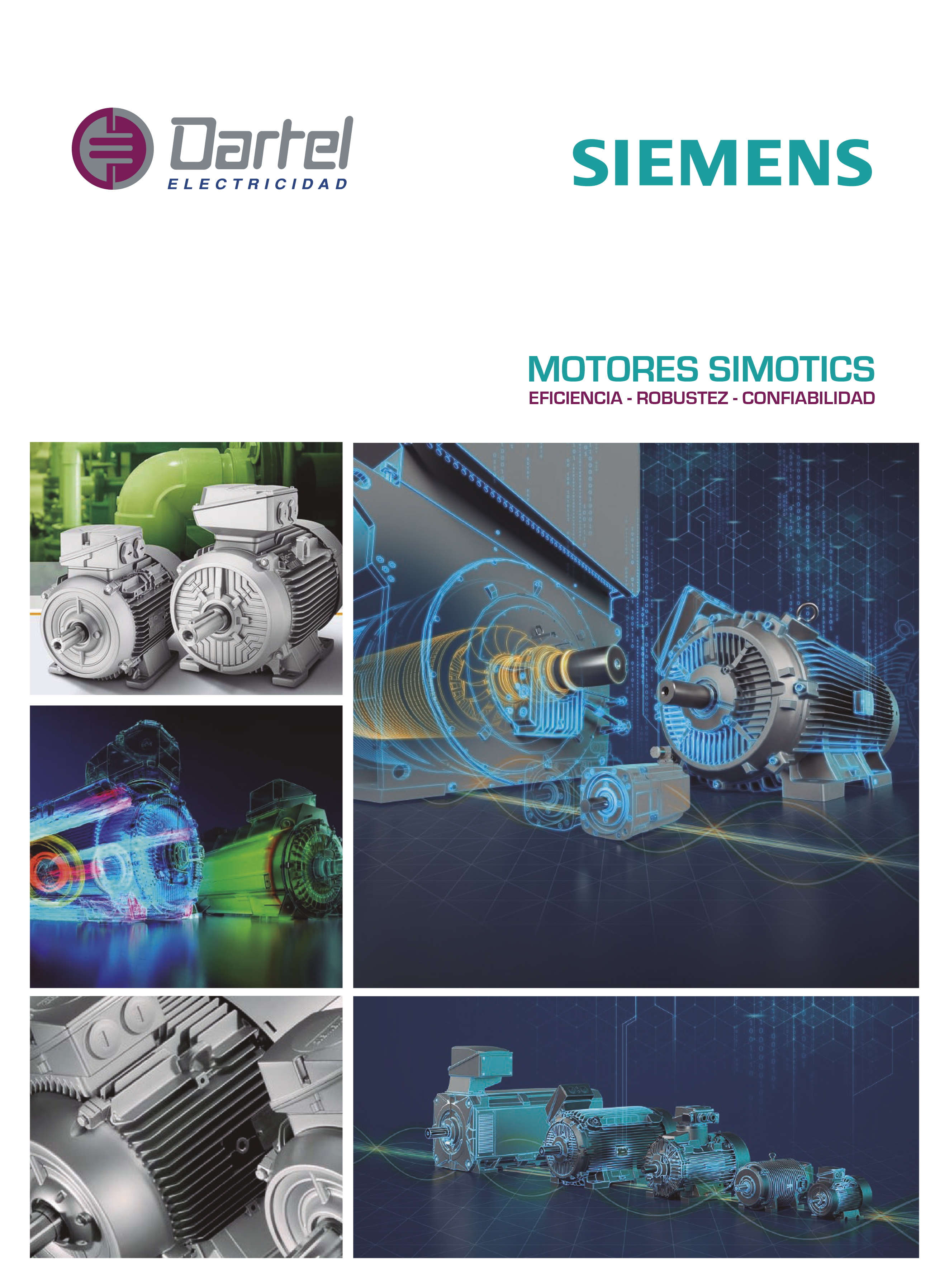 Descripción de la imagen